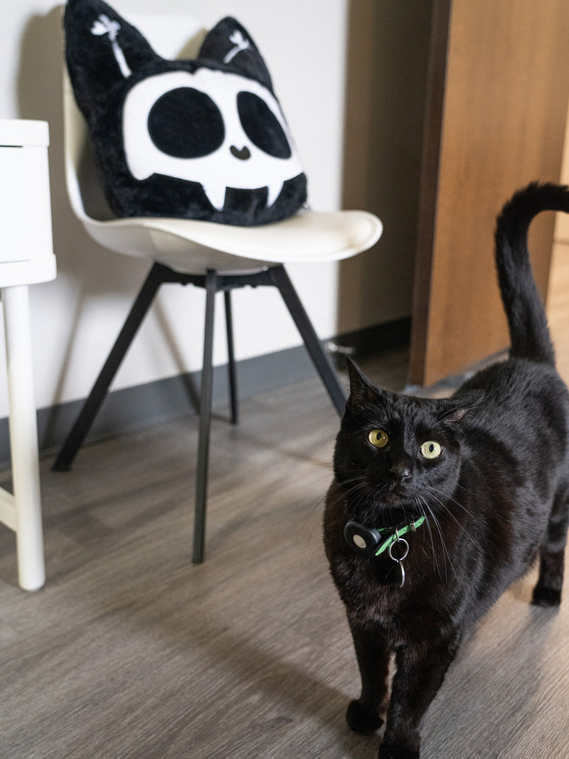 Skelekitty Throw Pillow