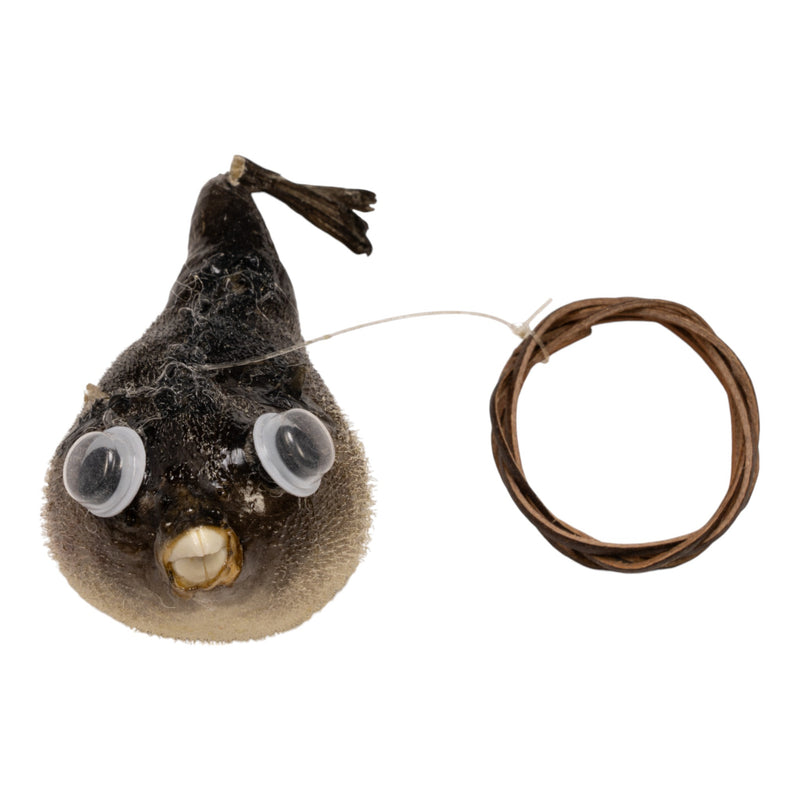 Real Pufferfish on String (2-3 inch)