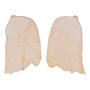 Replica Hubb's Beaked Whale Teeth - Pair