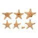 Real Bag-O-Sea Stars