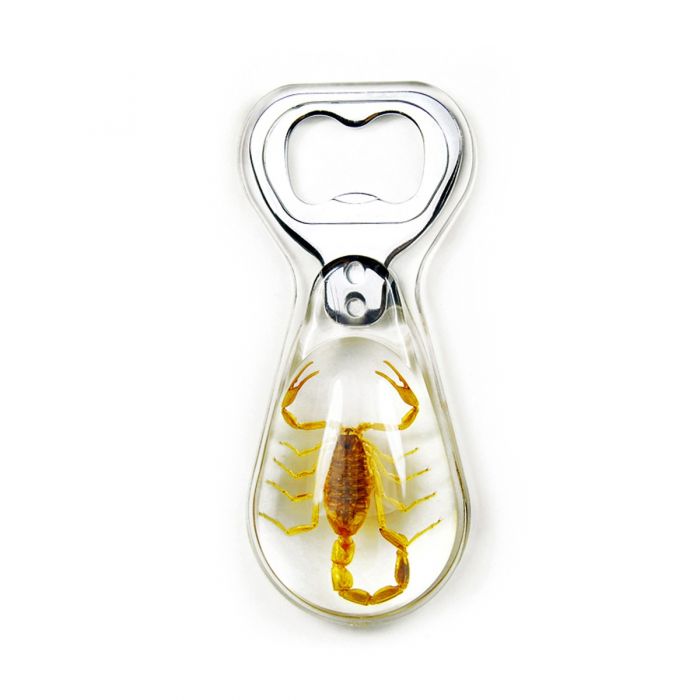Real Golden Scorpion in Acrylic Bottle Opener