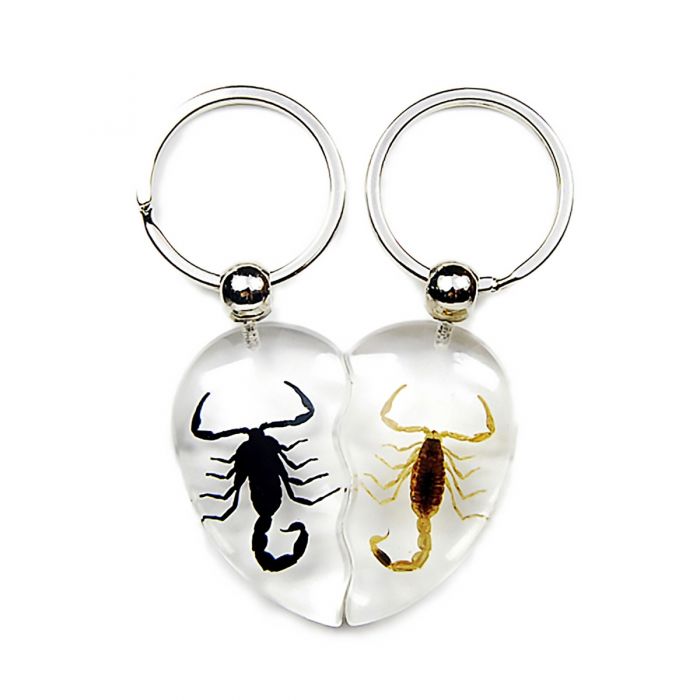 Real Scorpion Friendship Keychain in Acrylic - Single