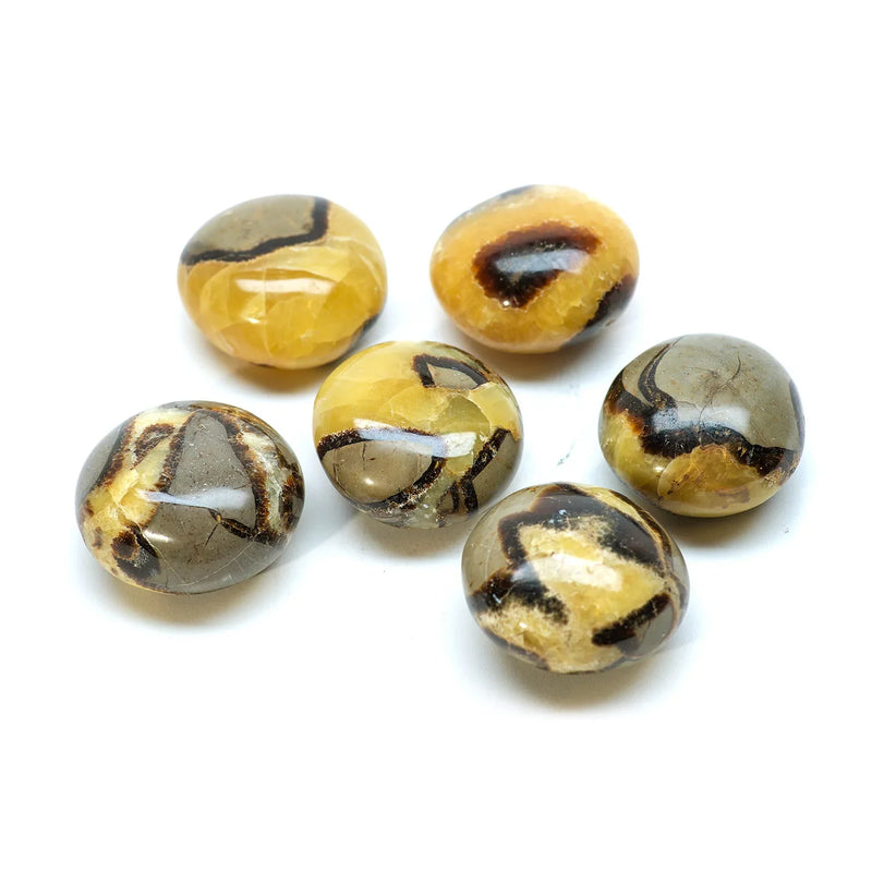Septarian Mineral Specimen