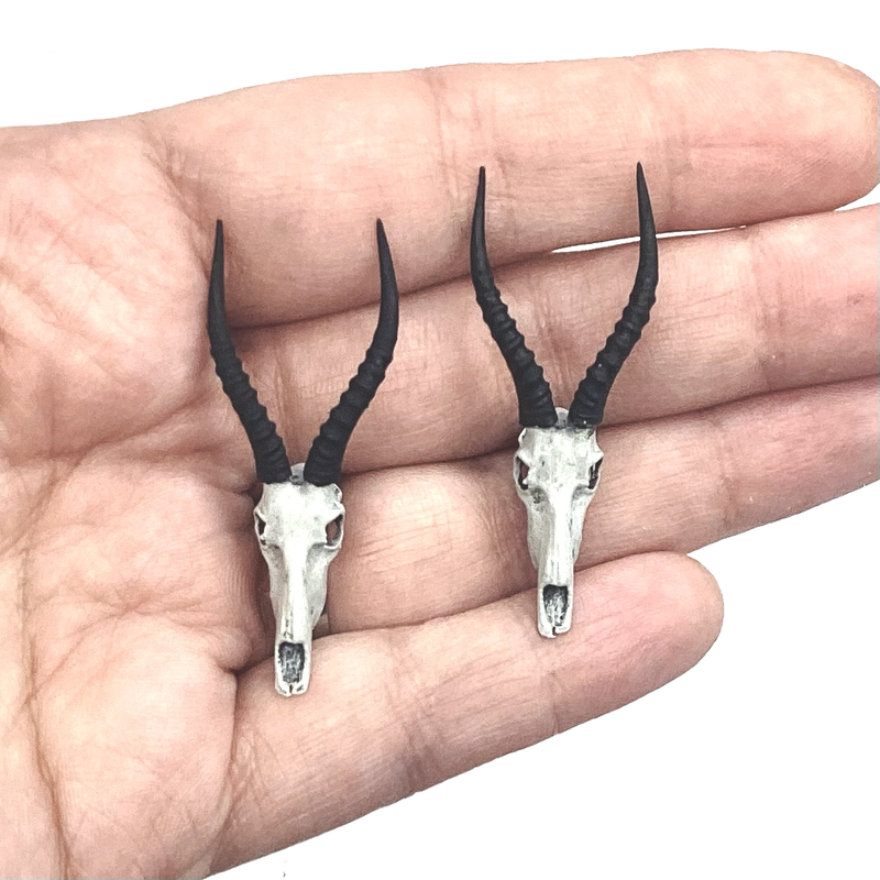 Blesbuck Skull Replica - 1:12 Scale (Set of 2)