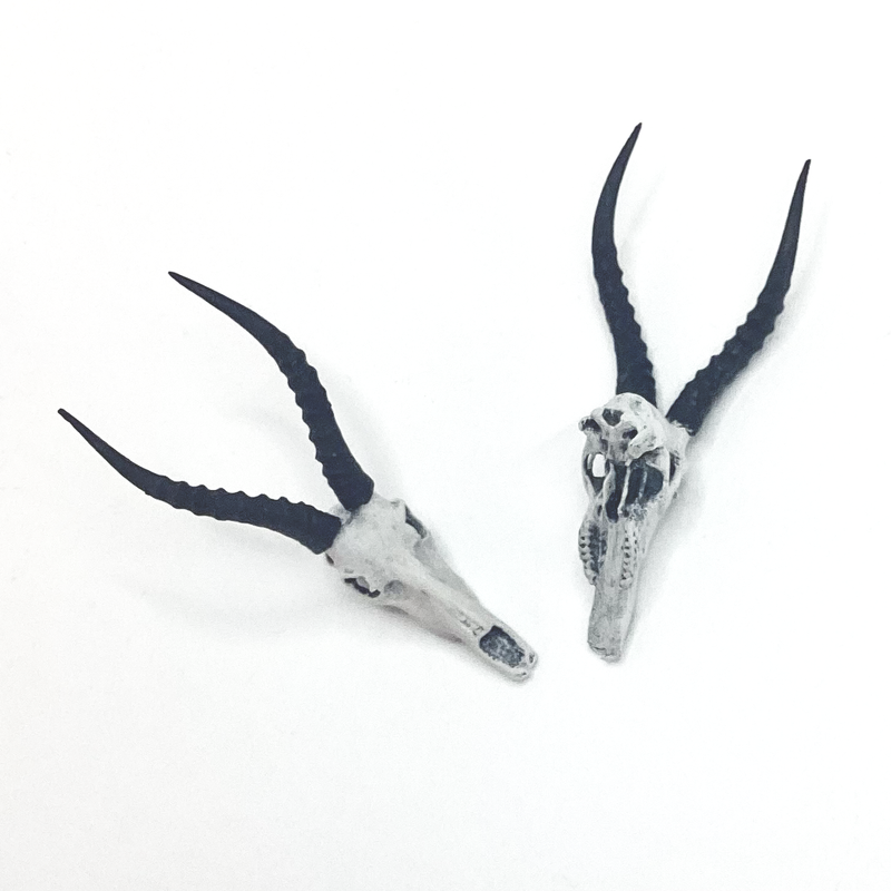 Blesbuck Skull Replica - 1:12 Scale (Set of 2)