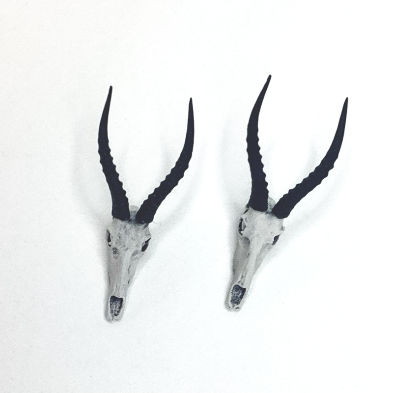 Blesbuck Skull Replica - 1:12 Scale (Set of 2)