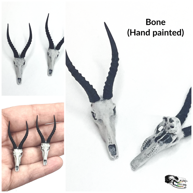 Blesbuck Skull Replica - 1:12 Scale (Set of 2)
