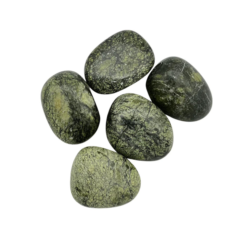 Green Snakeskin Jasper Mineral Specimen