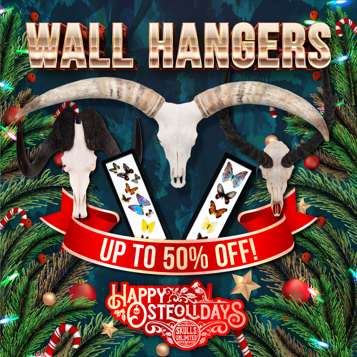 Osteolidays Wall Hangers