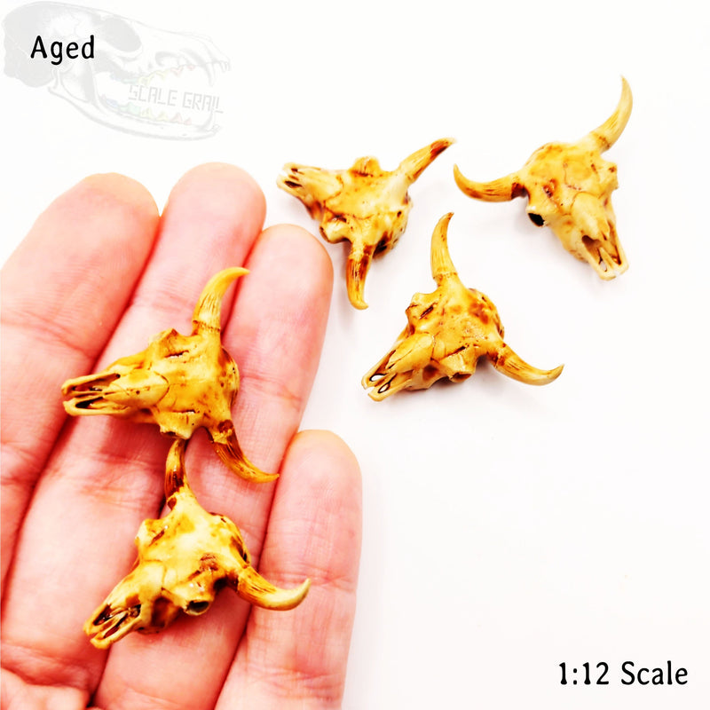 American Bison Skull Replica - 1:24 Scale