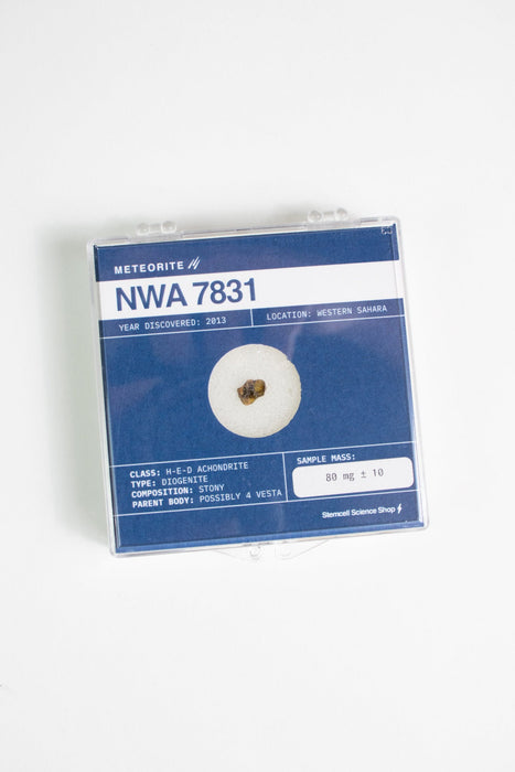 Asteroid 4 Vesta Meteorite Specimen