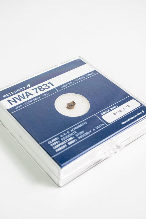 Asteroid 4 Vesta Meteorite Specimen