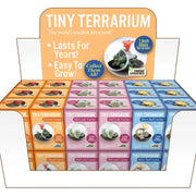 Tiny Terrarium