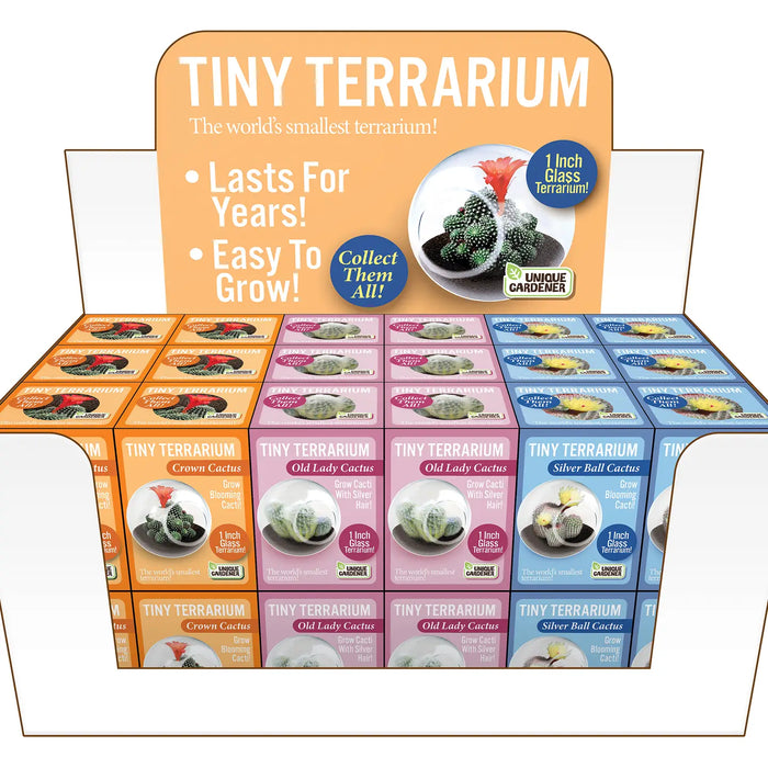 Tiny Terrarium