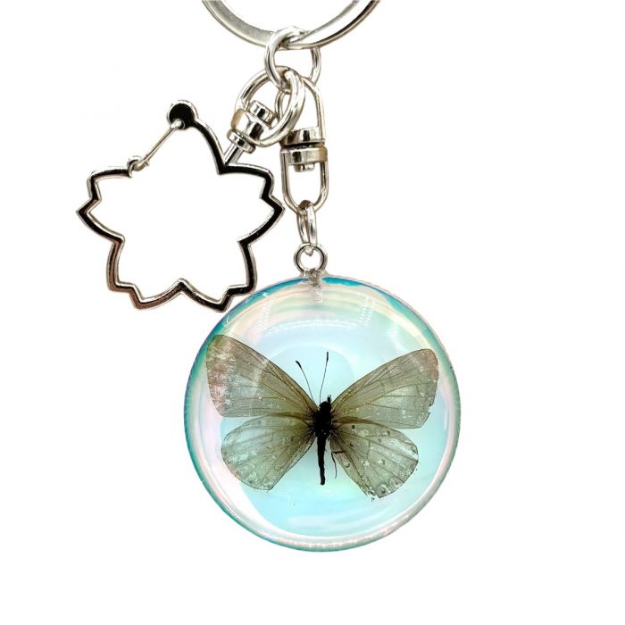 Real Iridescent Blue Butterfly in Acrylic Keychain