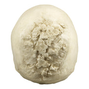 Replica Human Skull with Syphilis