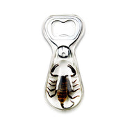 Real Black Scorpion in Acrylic Bottle Opener
