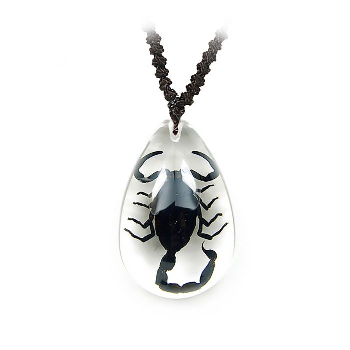 Real Black Scorpion in Acrylic Necklace