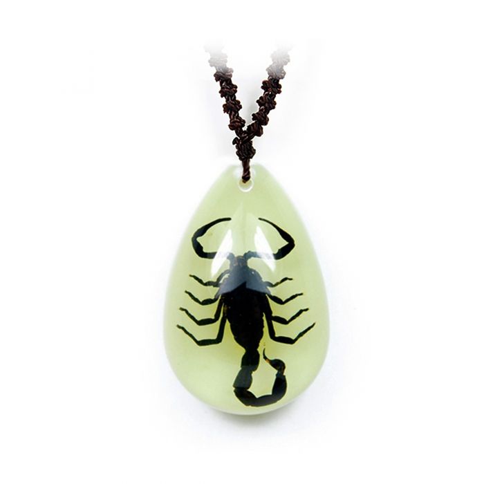 Real Black Scorpion in Acrylic Necklace