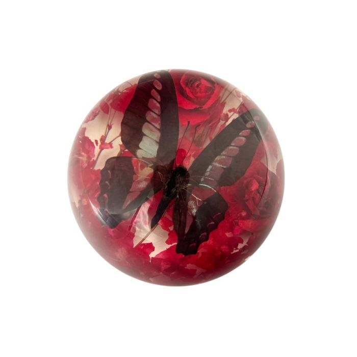 Real Butterfly in Acrylic Half-dome with Flowers