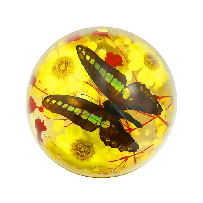Real Butterfly in Acrylic Half-dome with Flowers