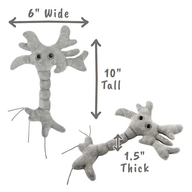 Giant Microbes Brain Cell Plush For Sale Skulls Unlimited International Inc