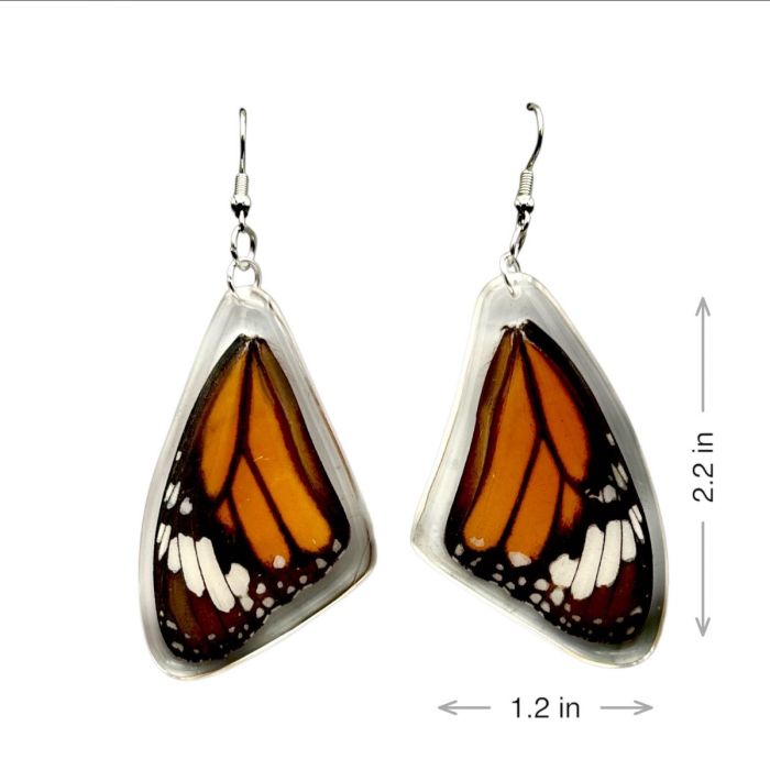 Real Butterfly Wing Acrylic Earrings