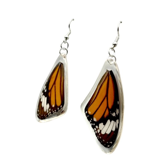 Real Butterfly Wing Acrylic Earrings
