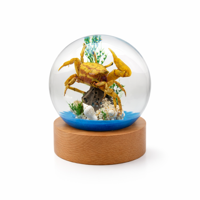 Crab Acrylic Globe
