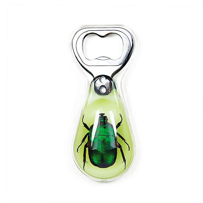 Real Acrylic Green Chafer Beetle Bottle Opener