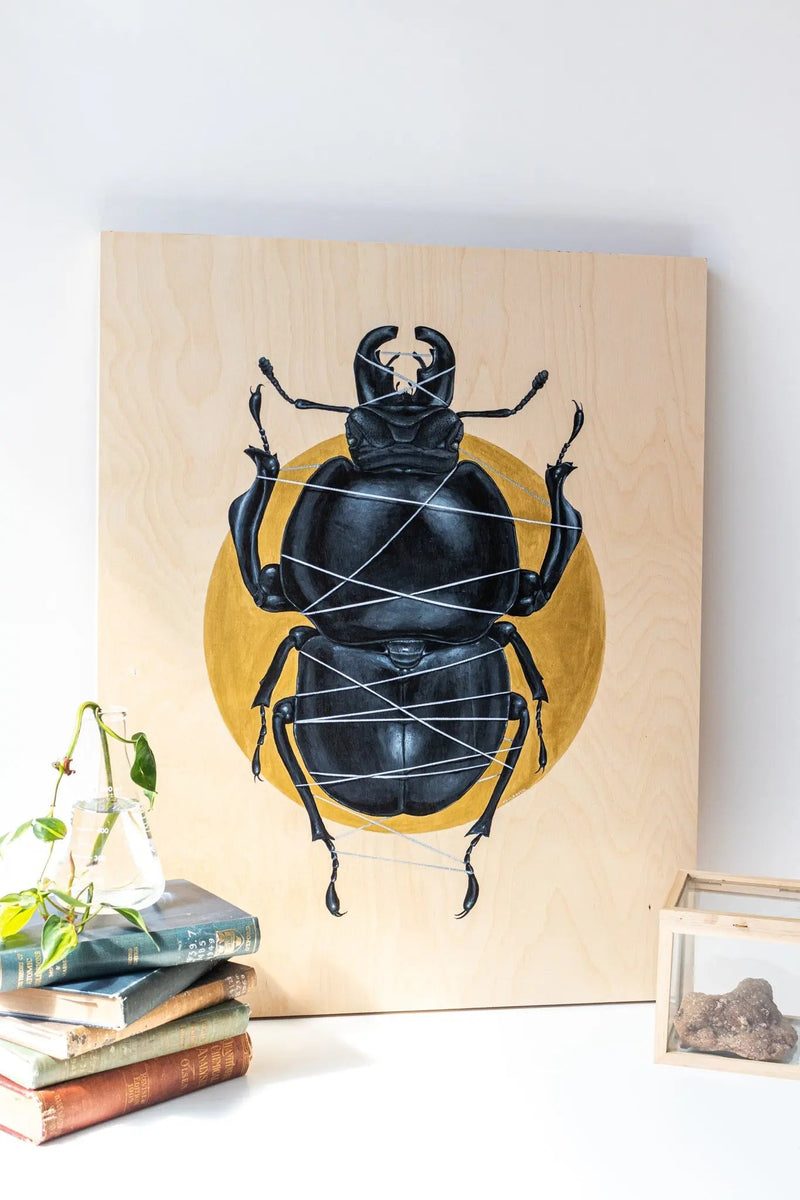 Colophon Whitei Scientific Art Print