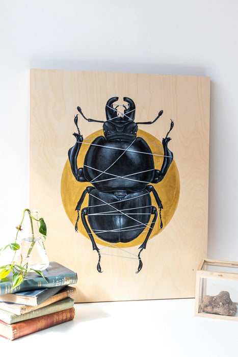Colophon Whitei Scientific Art Print
