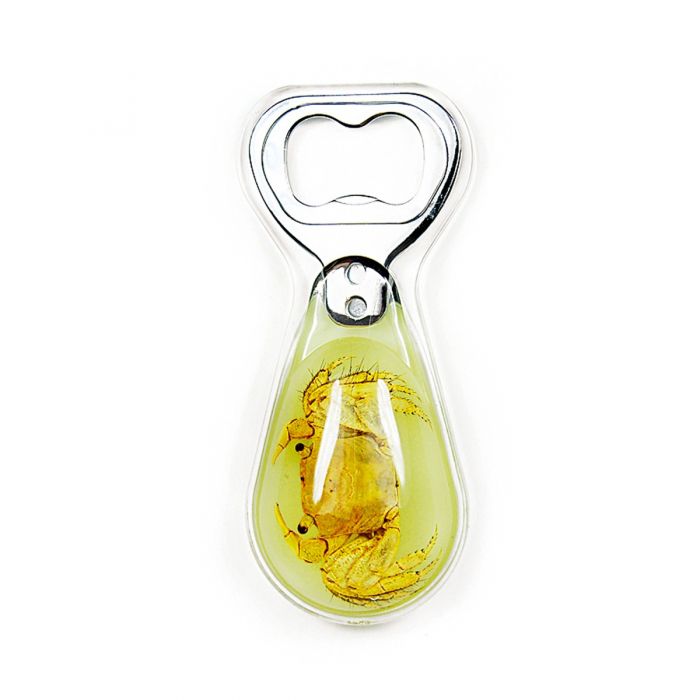 Real Crab in Acrylic Bottle Opener