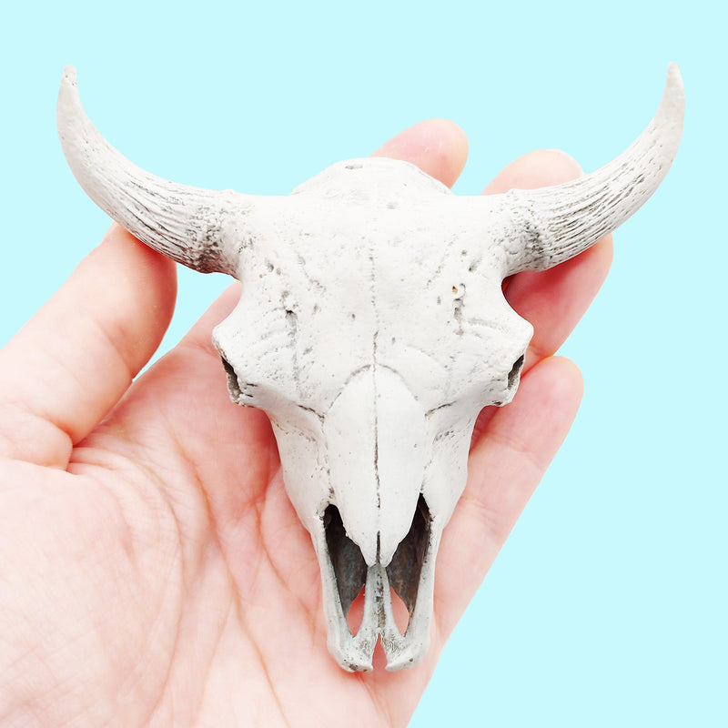 American Bison Skull Replica - 1:6 Scale