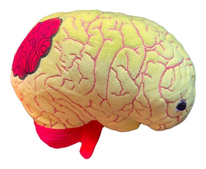 脳みそ  ミニチュア リーメント Giant Microbes Deluxe Anxiety Plush For Sale — Skulls Unlimited