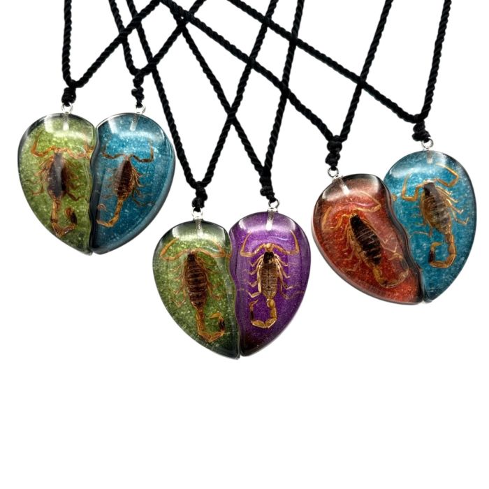 Real Scorpion Friendship Necklace