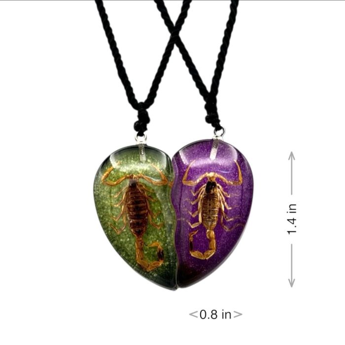 Real Scorpion Friendship Necklace