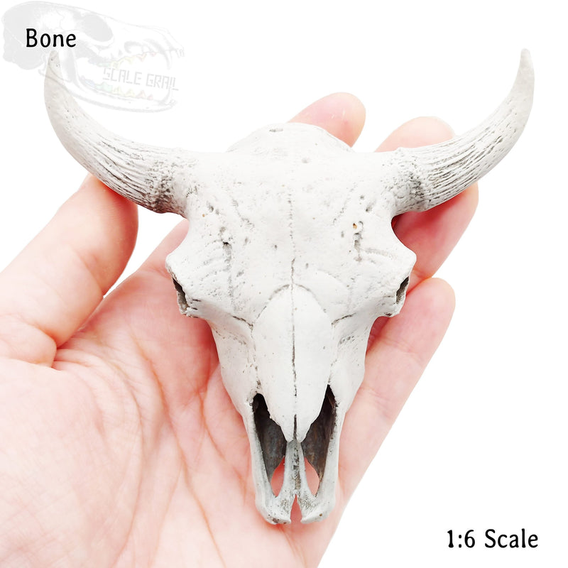 American Bison Skull Replica - 1:6 Scale