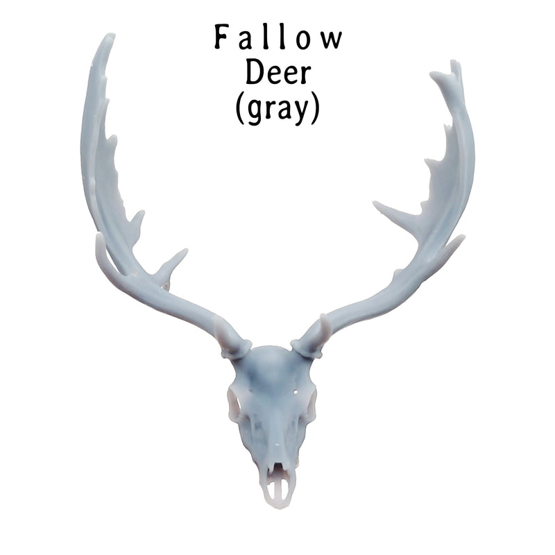 Fallow Deer Skull Replica - 1:12 Scale