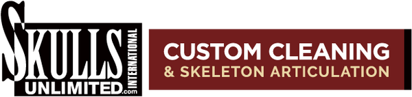 Skulls Unlimited Custom Cleaning and Skeleton Articulation logo
