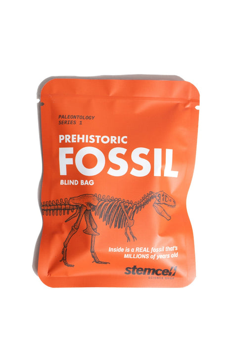Fossil Specimen Blind Bag