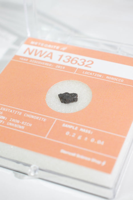 Early Solar System Meteorite Fragment - NWA 13632