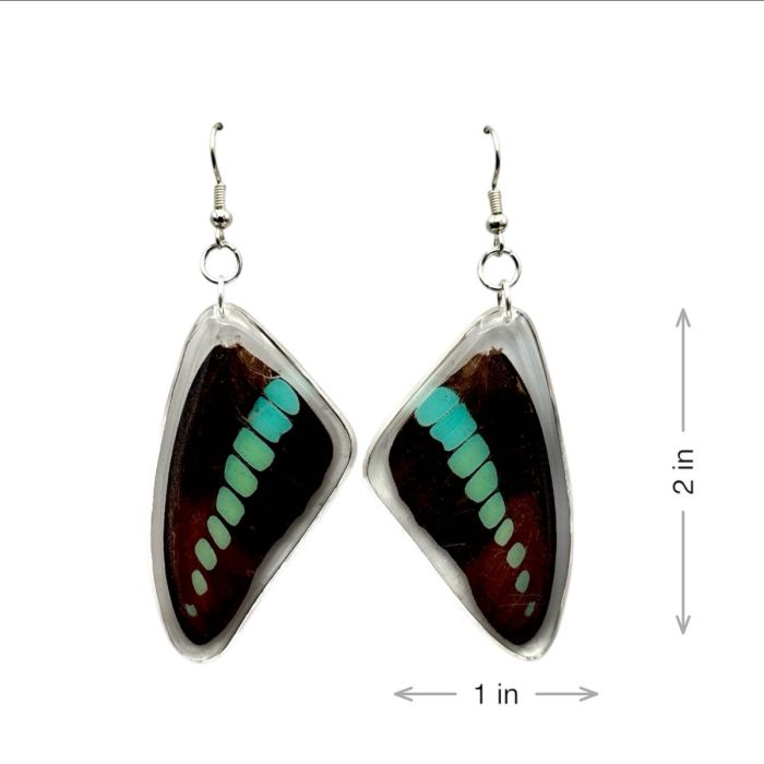 Real Butterfly Earrings