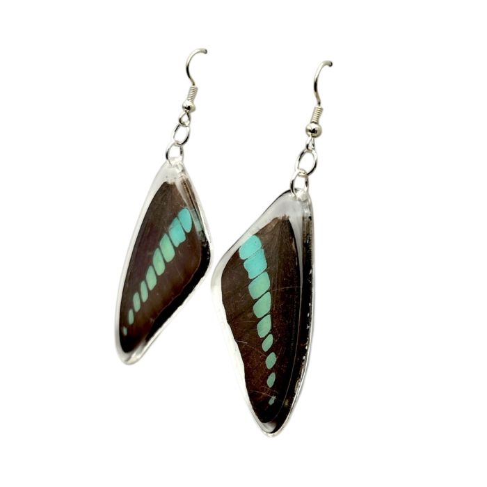 Real Butterfly Earrings