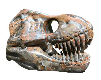 Carved Gemstone T-Rex Skull