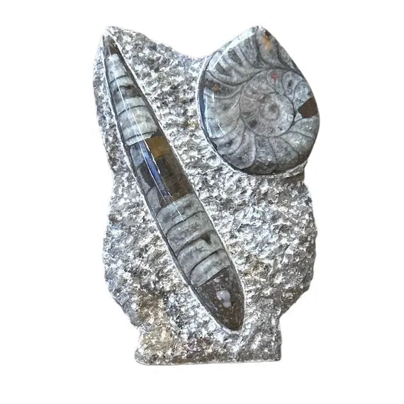 Ammonite and Orthoceras Fossil Sculpture