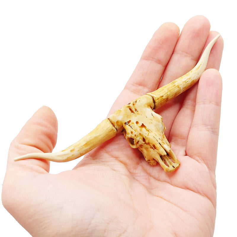 Texas Longhorn Steer Skull Replica - 1:12 Scale