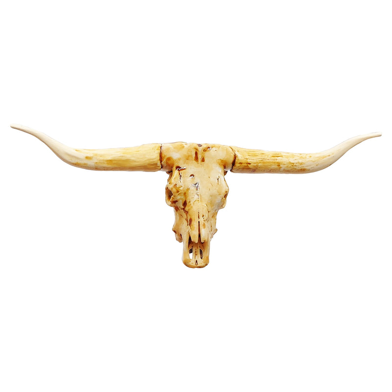 Texas Longhorn Steer Skull Replica - 1:12 Scale