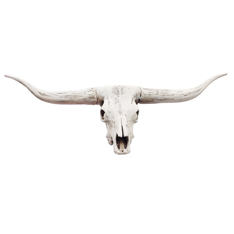 Texas Longhorn Steer Skull Replica - 1:12 Scale