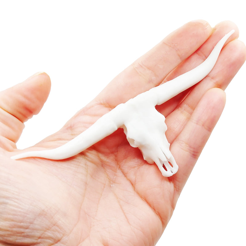 Texas Longhorn Steer Skull Replica - 1:12 Scale